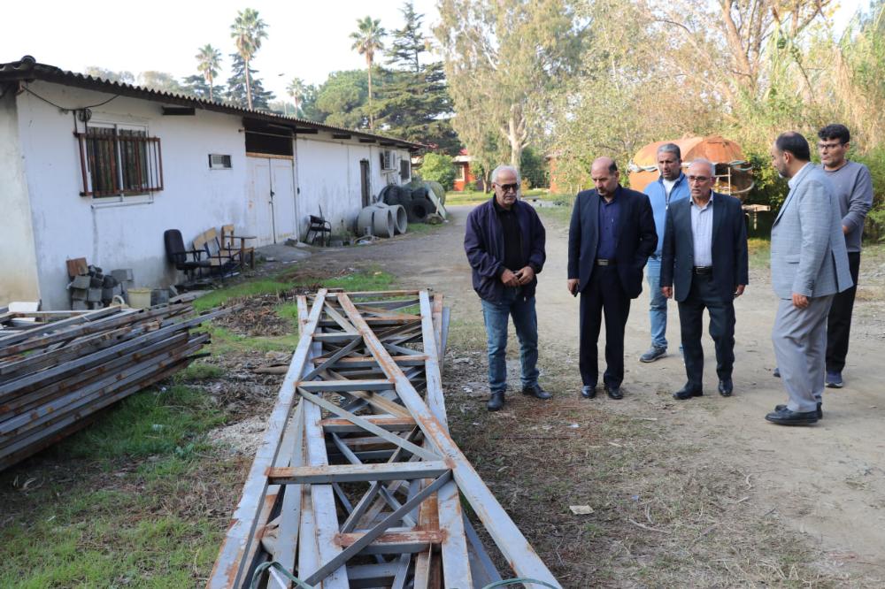 تصویر کوچک